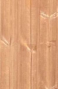 ThermoWood - Bez impregnace